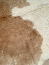 Large cowhide rug