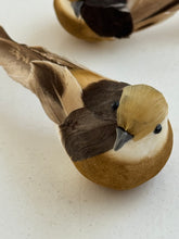 Bird on clip