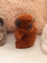 Wombat  key chains