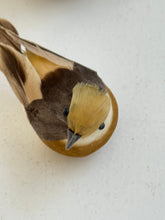 Bird on clip