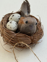 Bird Nest on clip