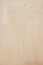 Tutu dress with Balloon sleeve tulle