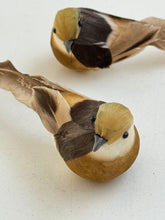 Bird on clip