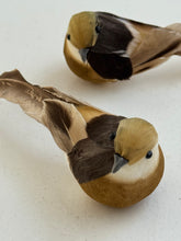 Bird on clip