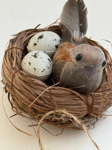 Bird Nest on clip