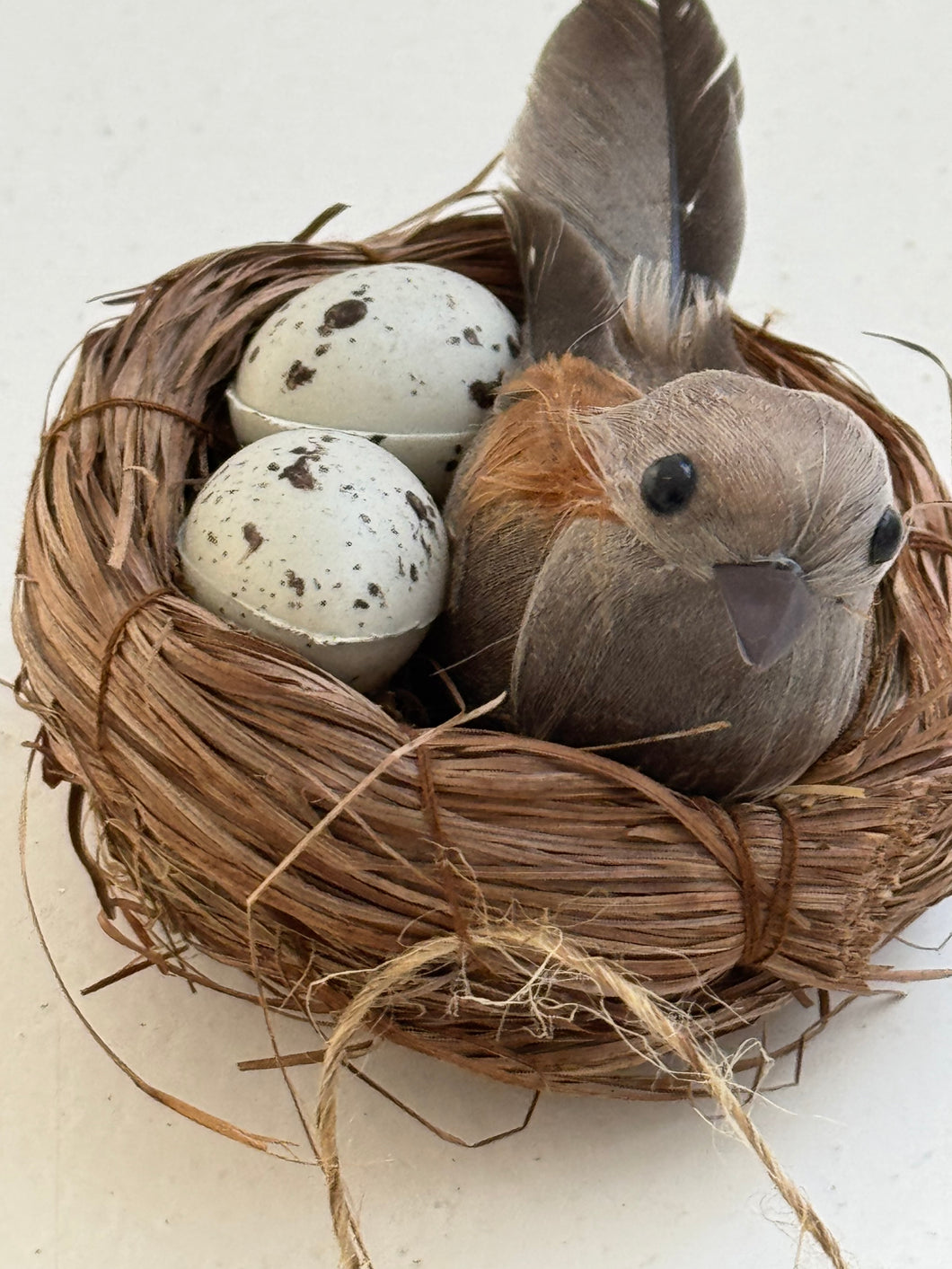 Bird Nest on clip