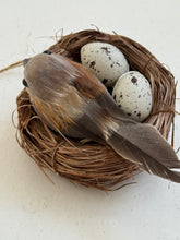 Bird Nest on clip