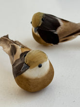 Bird on clip