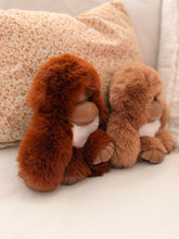 Monkey key chains