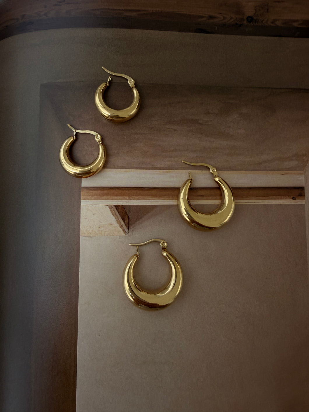 Earring hoops