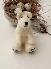 Cream Bear