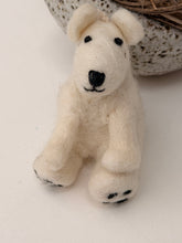 Cream Bear