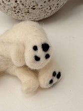 Cream Bear