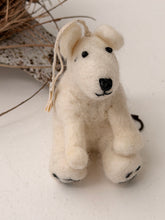 Cream Bear