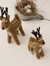 Deer