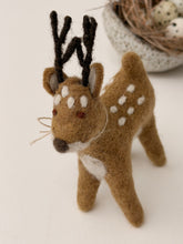 Deer