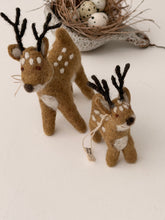 Deer