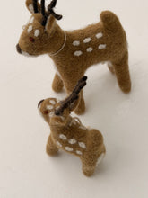 Deer