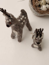 Reindeers grey