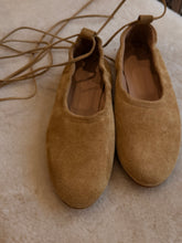 anniel - ballet flat camello suede with tie