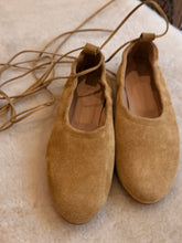anniel - ballet flat camello suede with tie