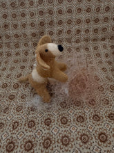 Dog Oscar
