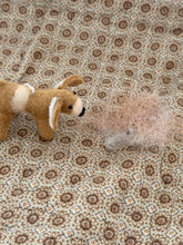 Dog Oscar