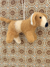 Dog Oscar