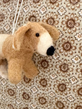 Dog Oscar