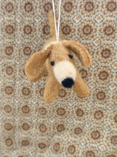 Dog Oscar
