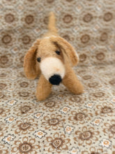 Dog Oscar