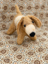 Dog Oscar