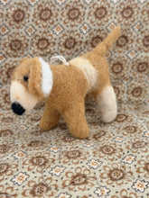 Dog Oscar