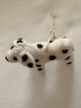 Dog Dalmatian Zack