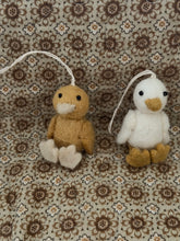 Ducks Ninie and Marco