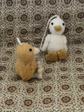 Ducks Ninie and Marco