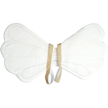 Rainbow wings