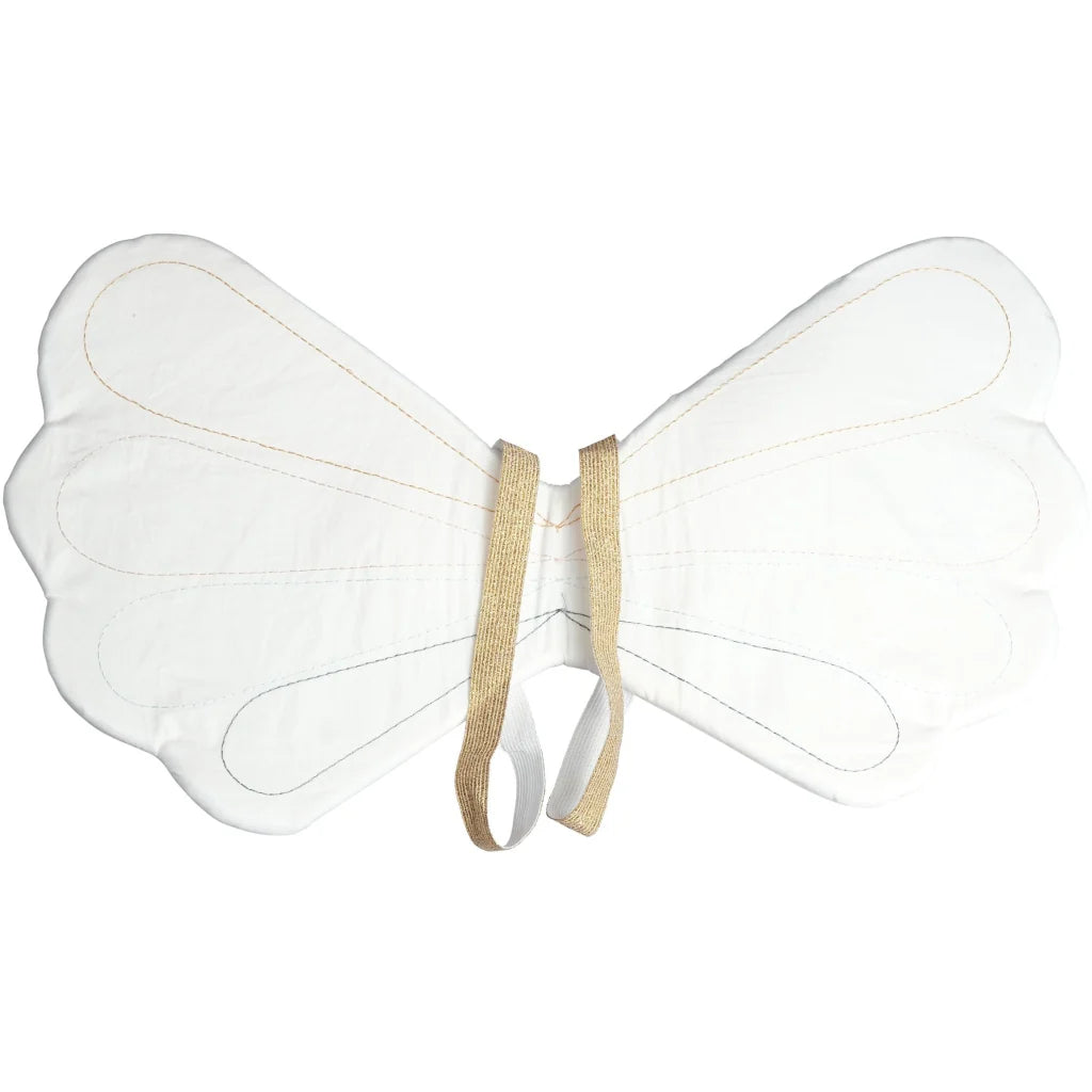 Rainbow wings