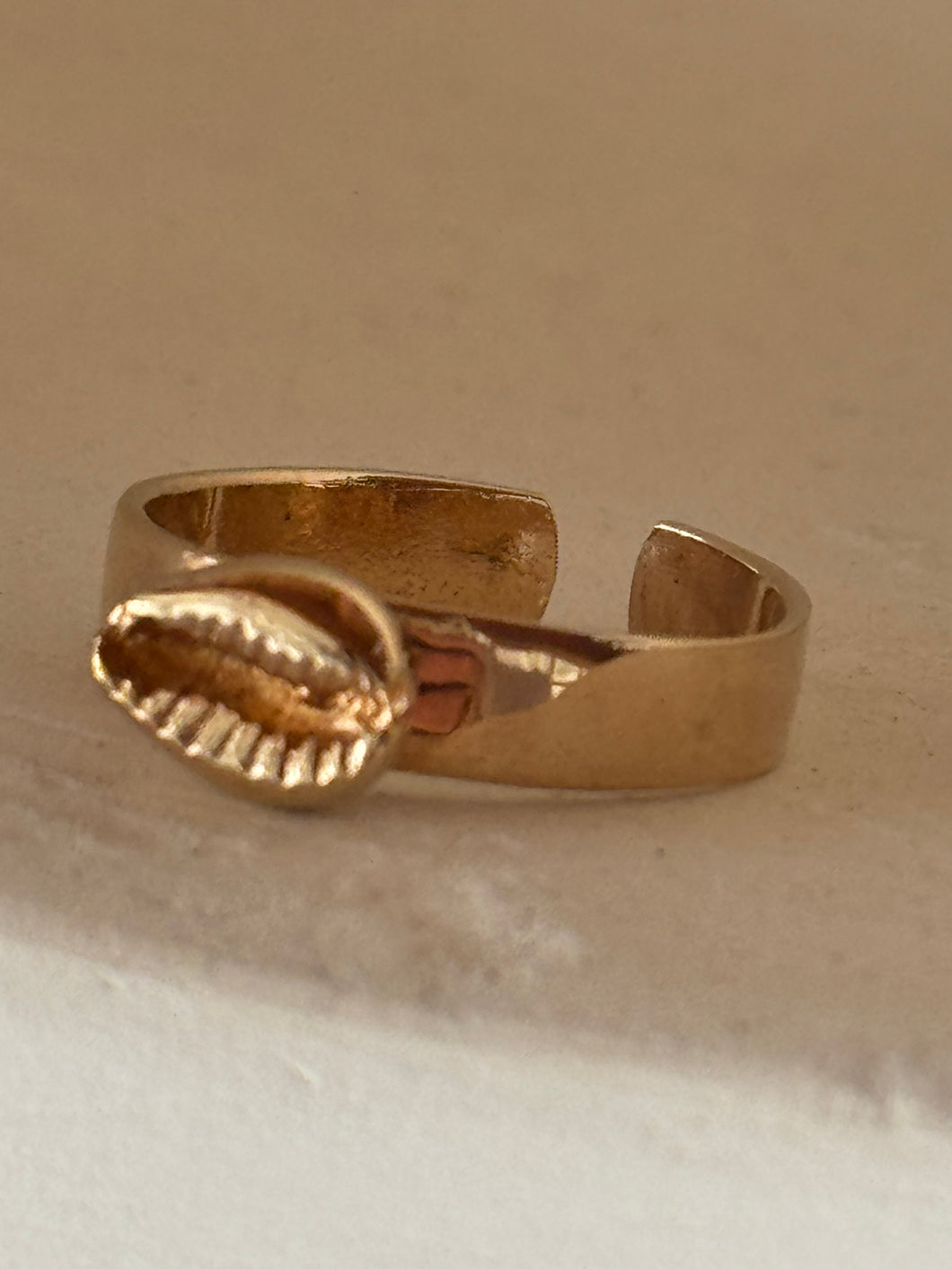 shell  ring