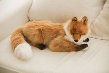 Hansa fox