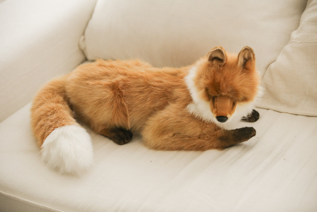 Hansa fox
