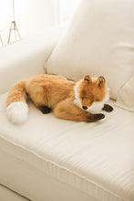 Hansa fox