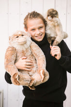 Hansa monkey family