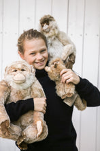 Hansa monkey family