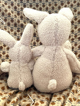 Mumma and Baby Bunny