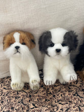 Hansa Jack Russel dog