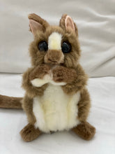 Hansa Tarsier
