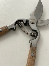 Secateurs