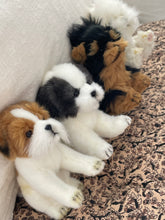 Hansa Jack Russel dog