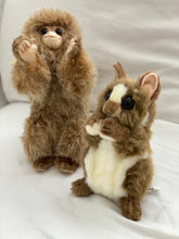 Hansa Tarsier